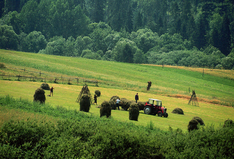 EU vraća 435 miliona evra evropskim poljoprivrednicima iz budžeta Zajedničke poljoprivredne politike