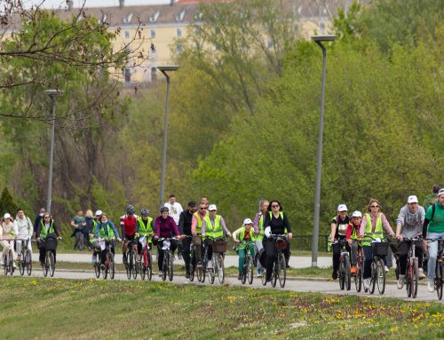Bike Ride through Novi Sad murals