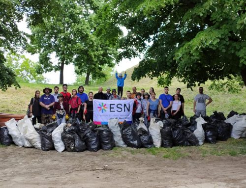 Erasmus Alumni Help to Clean Up the Petrovaradin Fortress