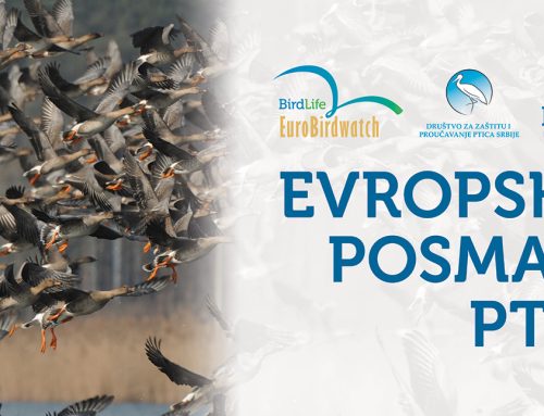 Evropski vikend posmatranja ptica u Srbiji