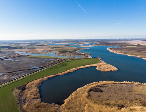 Vlažna staništa − Prva linija zaštite biodiverziteta i odbrane od posledica klimatskih promena