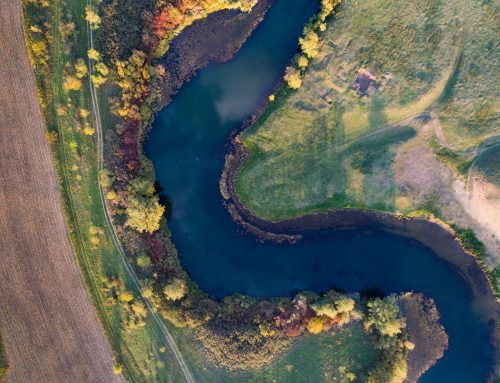 12 inovativnih predloga za očuvanje vlažnih staništa stiglo na Javni poziv