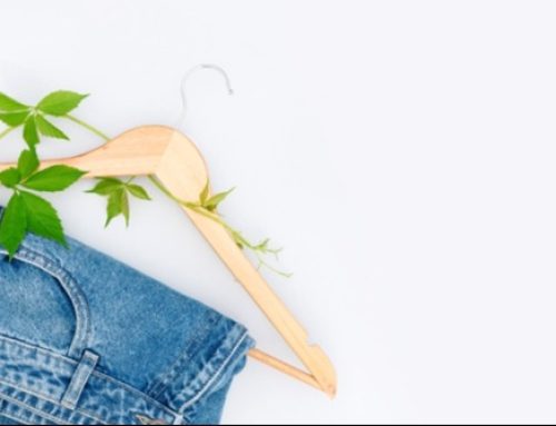 Imprint of Nature – Eco Printing Workshop in Novi Sad