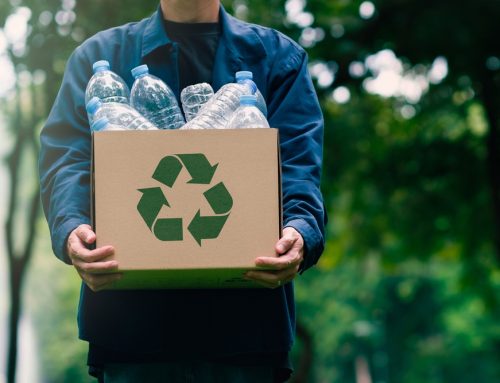 Recycle Creatively: Turn Waste into Art and Handicrafts