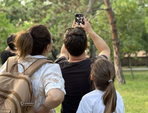 „Noć sova“ u Nišu: Važan korak ka očuvanju biodiverziteta