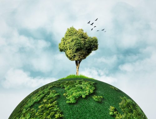Raspisan novinarski konkurs „Green Journalism Award“