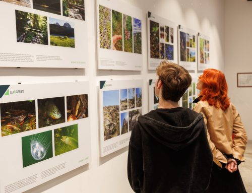 Otvorena foto izložba „Najzeleniji primeri Zapadnog Balkana“