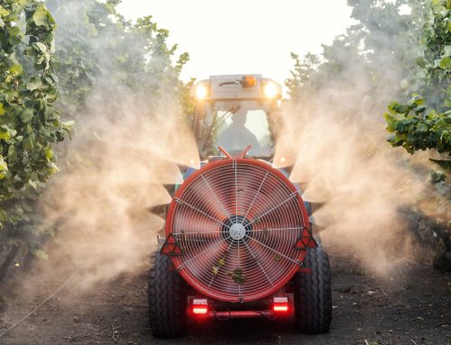 Zeleni korak ka zdravijoj hrani i čistijoj životnoj sredini
