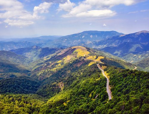 “Stara Planina for new generations” – How can we preserve the natural beauty?